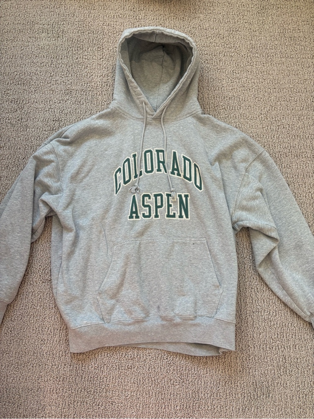 Brandy Melville Gray 'Colorado Aspen' Pullover Hoodie